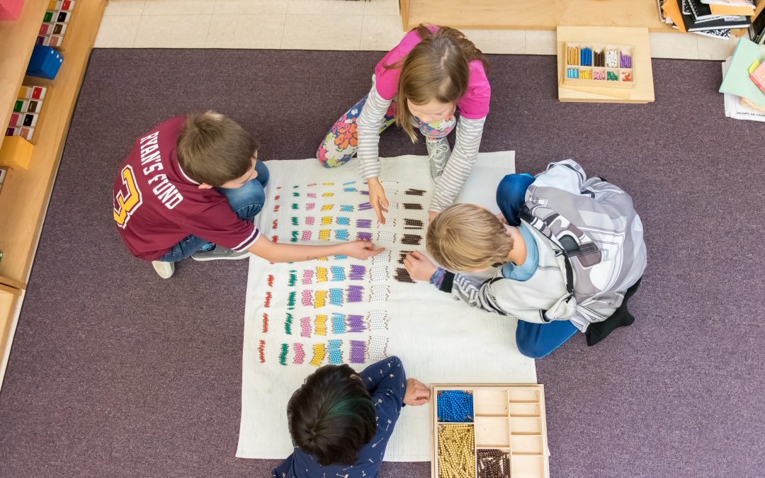Tracking Progress in a Montessori Classroom